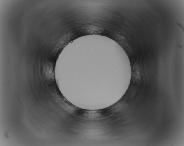 X0000100850622200807181058
