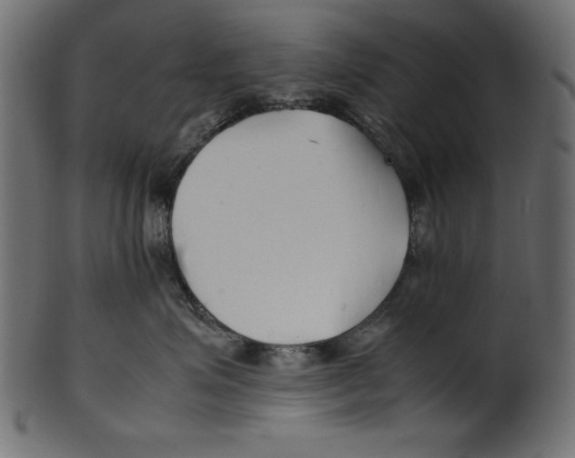 X0000100850623200807181058