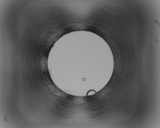 X0000100850624200807181058
