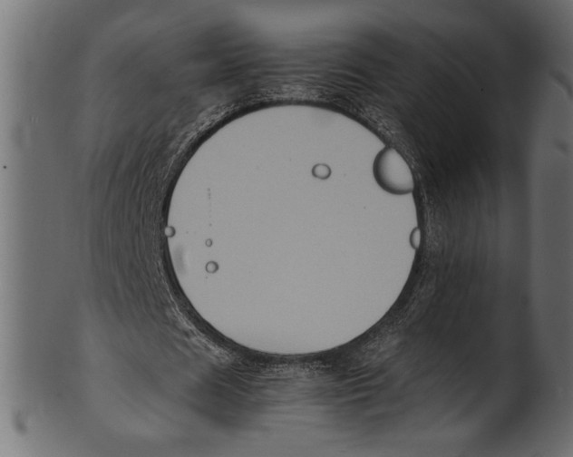 X0000100850625200807181057