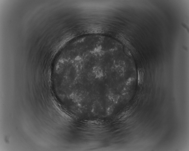 X0000100850627200807181057