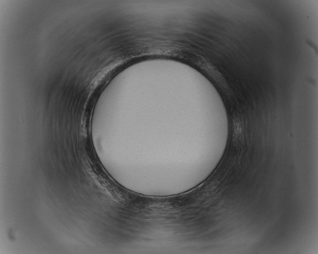 X0000100850628200807181057