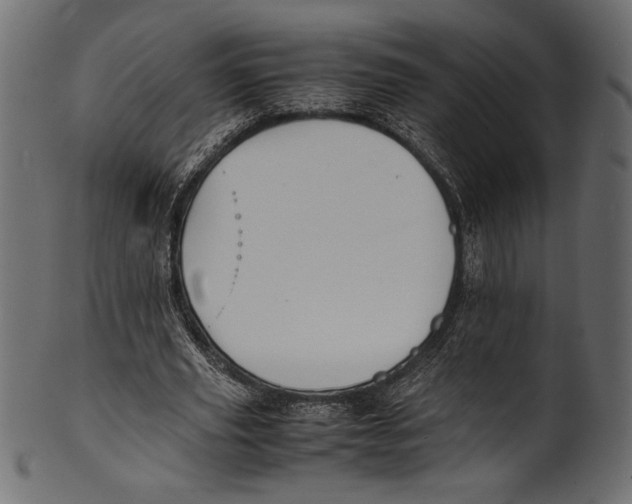 X0000100850629200807181057
