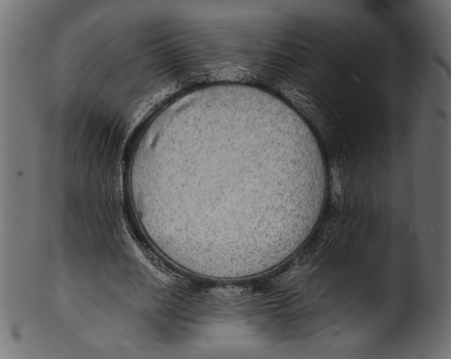 X0000100850630200807181057