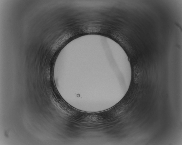 X0000100850631200807181057