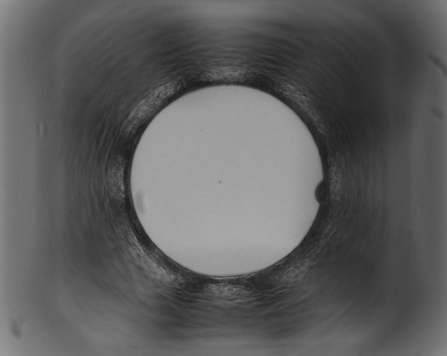 X0000100850633200807181057