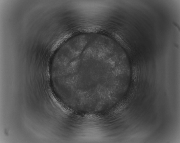 X0000100850634200807181057