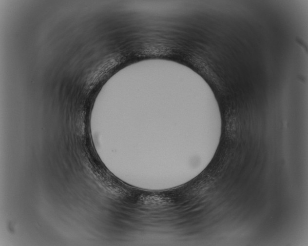 X0000100850635200807181057