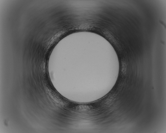 X0000100850636200807181057