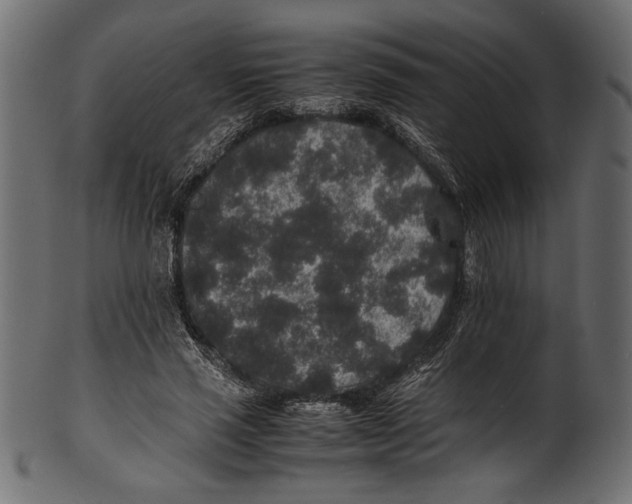 X0000100850637200807181057