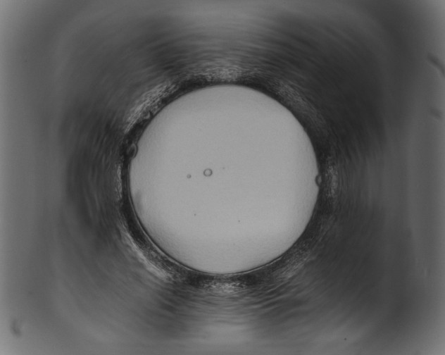 X0000100850638200807181057