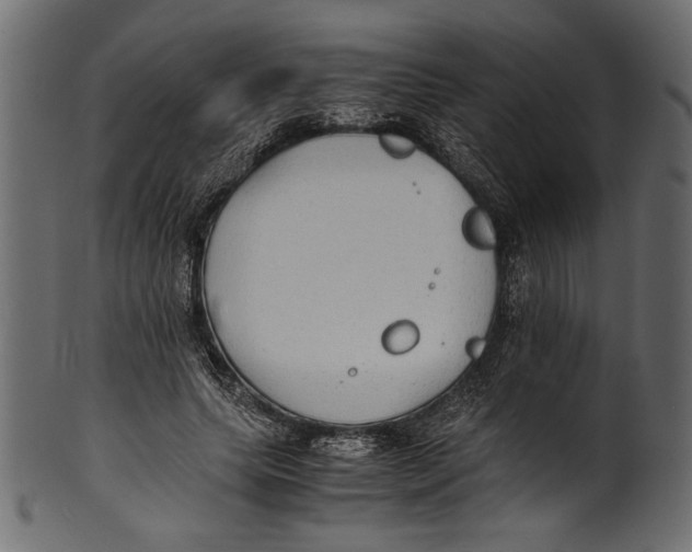 X0000100850639200807181057