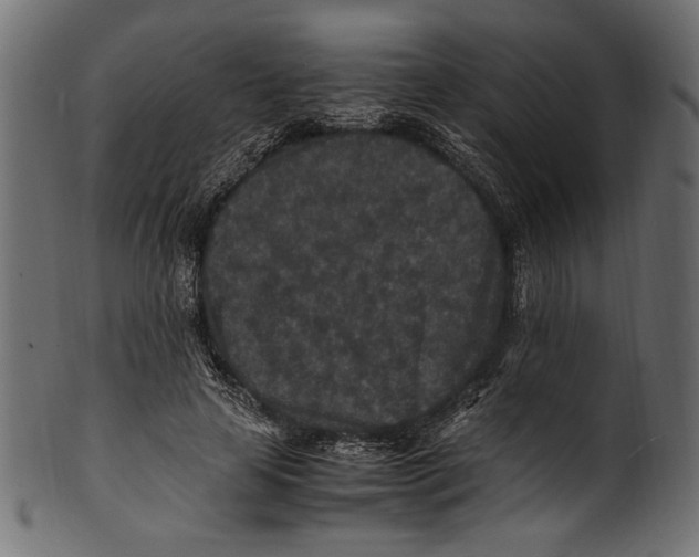 X0000100850641200807181057