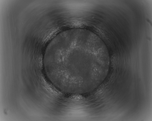 X0000100850642200807181057