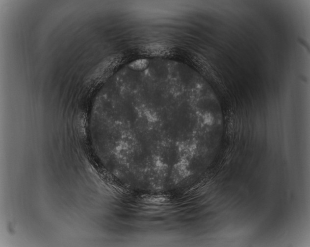 X0000100850643200807181057