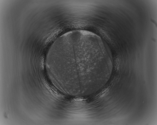 X0000100850644200807181057