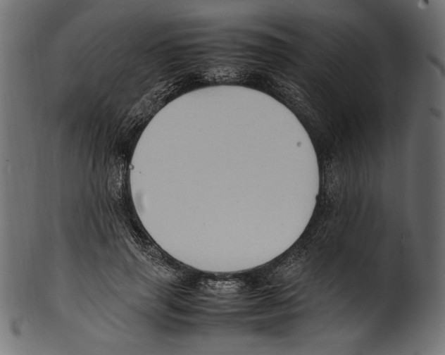 X0000100850645200807181057