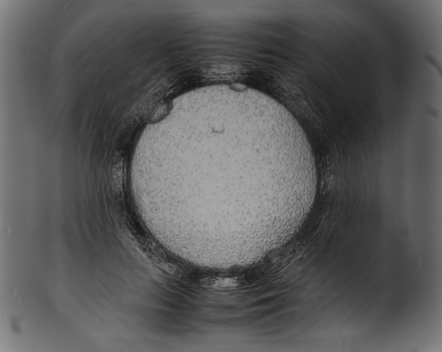 X0000100850647200807181057