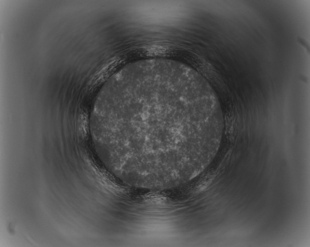 X0000100850648200807181057