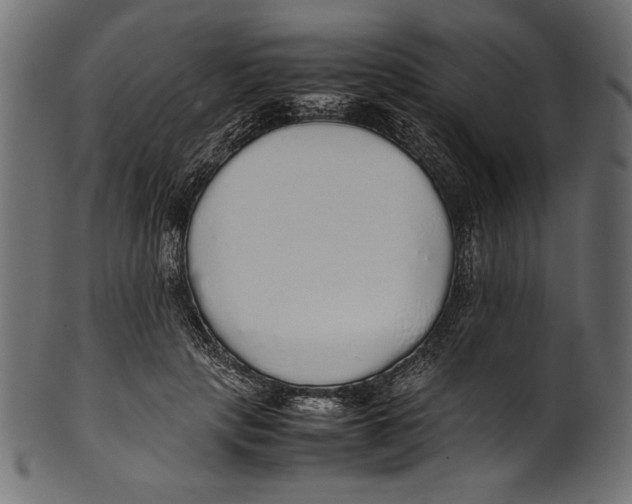 X0000100850649200807181057