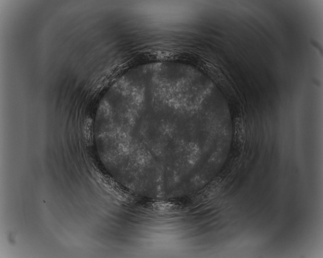 X0000100850650200807181057