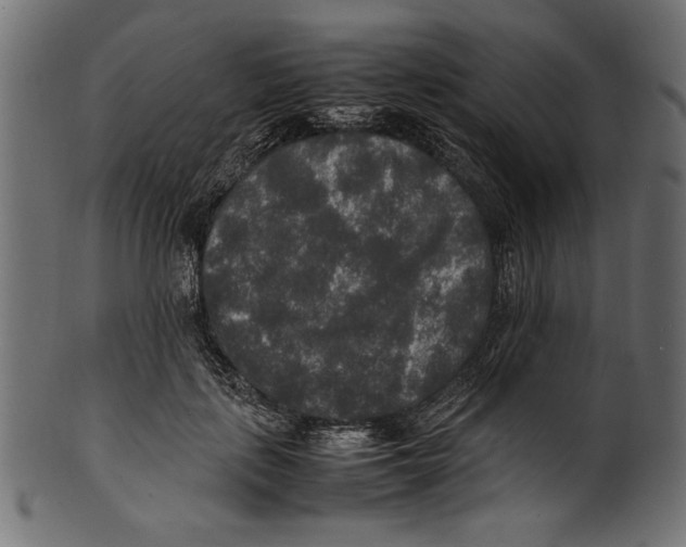 X0000100850651200807181057