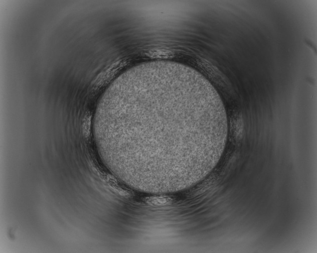 X0000100850652200807181057