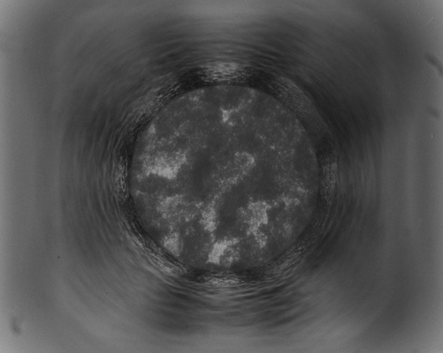 X0000100850653200807181057