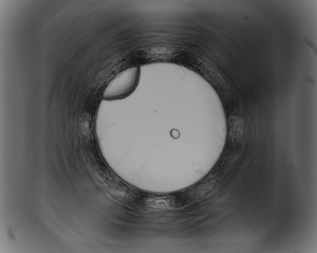 X0000100850655200807181057