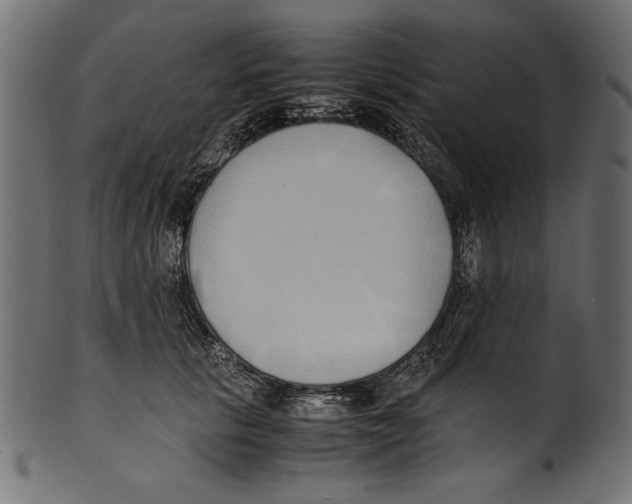 X0000100850657200807181057