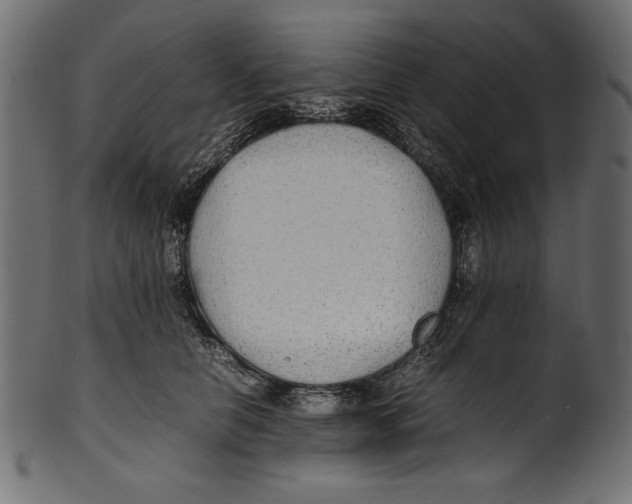 X0000100850658200807181057