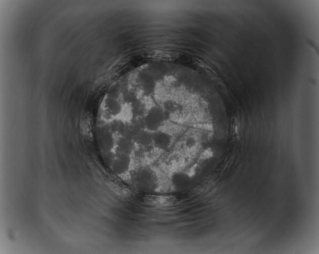 X0000100850663200807181058