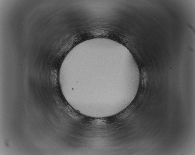 X0000100850664200807181058