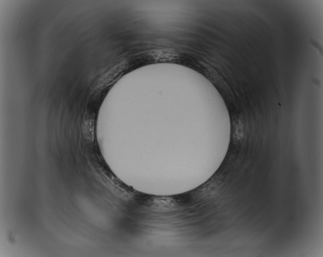 X0000100850666200807181058
