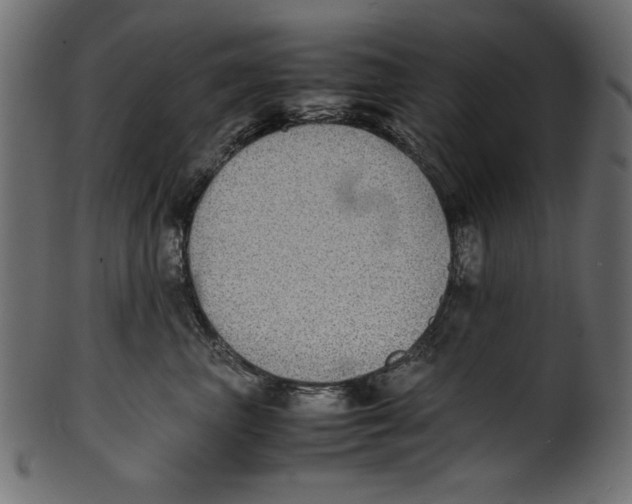 X0000100850667200807181058