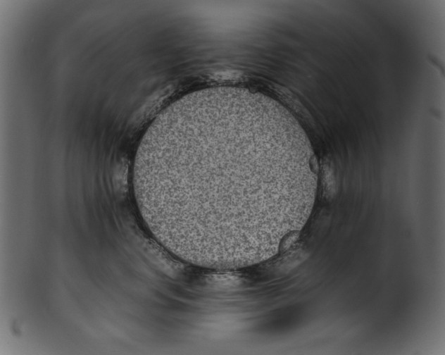 X0000100850668200807181058