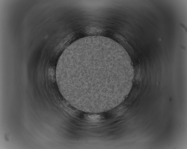 X0000100850669200807181058