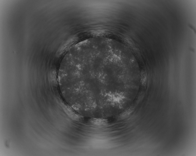 X0000100850670200807181058