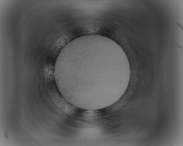 X0000100850672200807181058