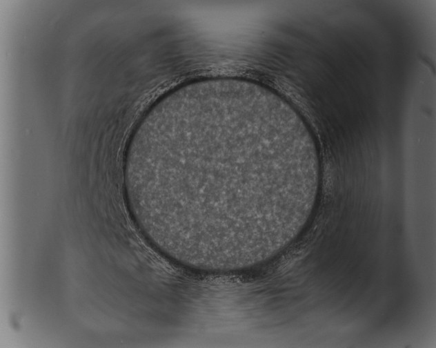 X0000100850673200807181057