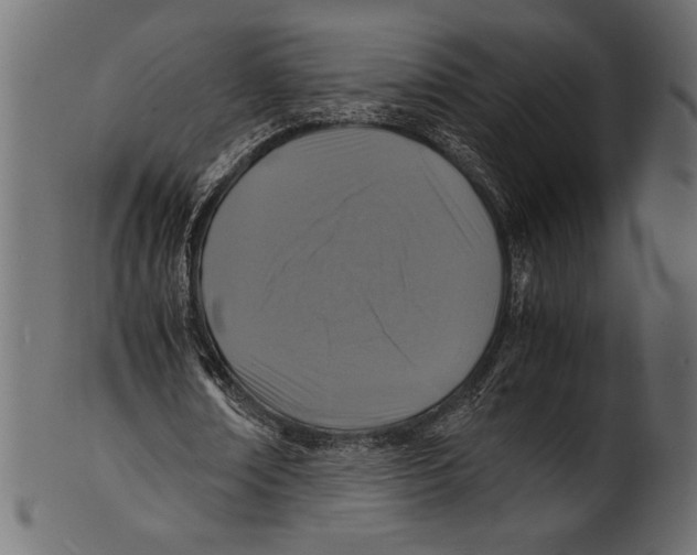 X0000100850674200807181057