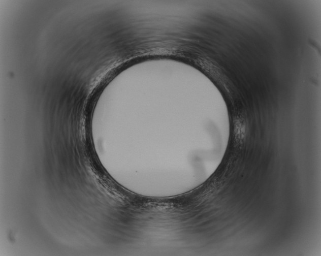 X0000100850676200807181057