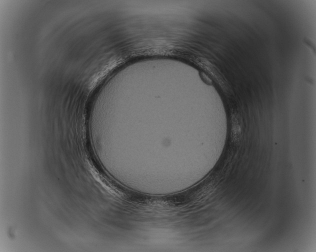 X0000100850677200807181057