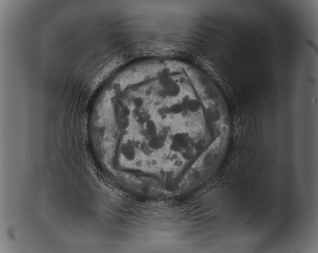X0000100850679200807181057