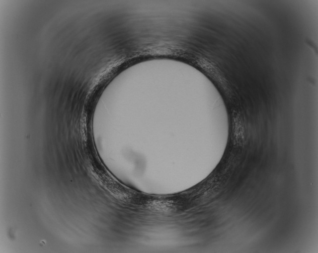 X0000100850680200807181057