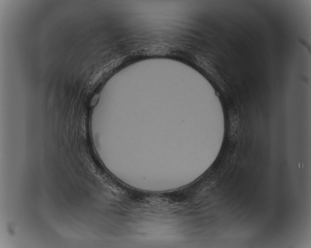 X0000100850681200807181057