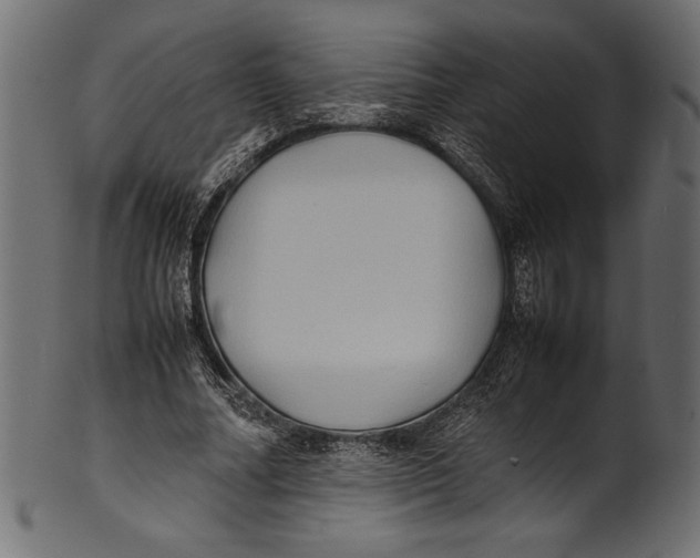 X0000100850682200807181057