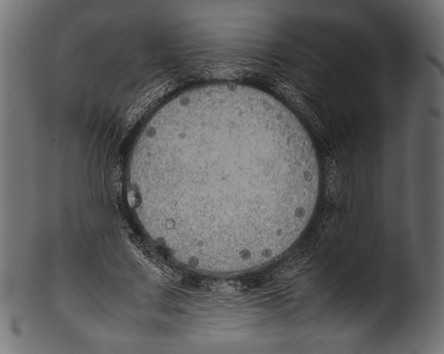 X0000100850683200807181057