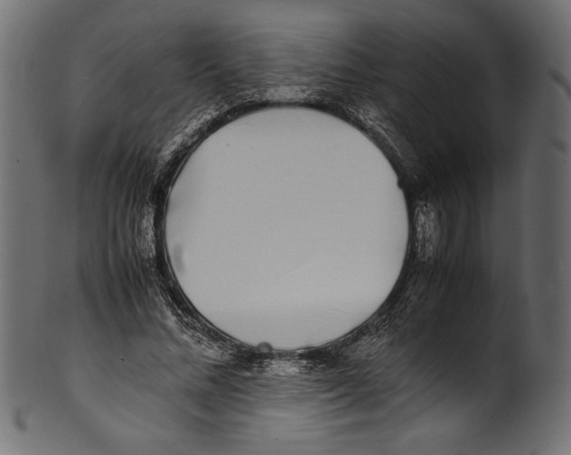 X0000100850684200807181057