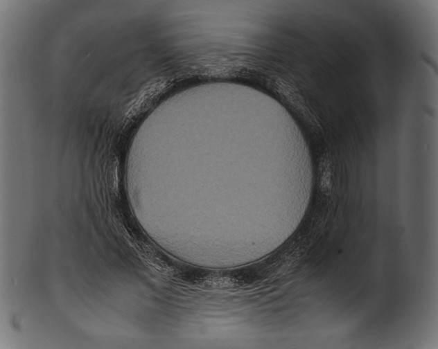X0000100850685200807181057